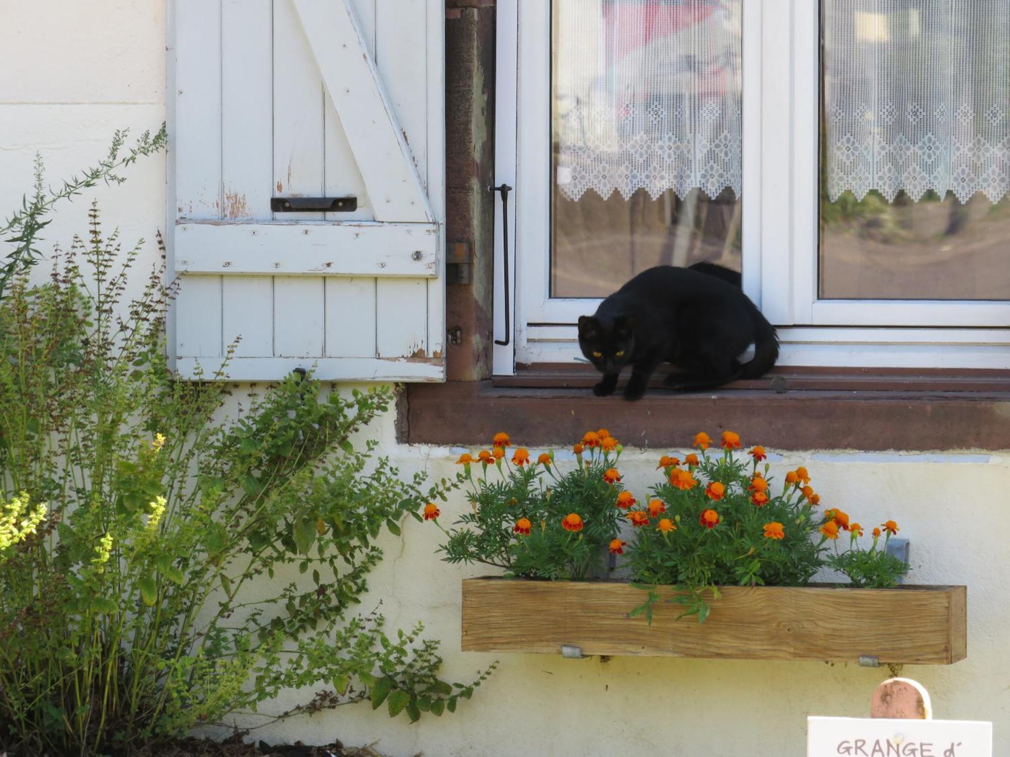 Grange d'Anjeux Bed&Breakfast Exterior foto